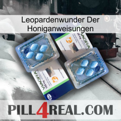 Leopard Miracle Of Honey Instructions viagra5